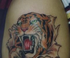 Farbe Tätowierung auf dem Arm eines Tigerfell Reißen