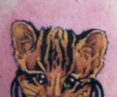 Tattoo eines Tigers auf einem kleinen, intimen tribal
