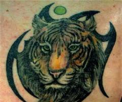 Kleine Farb-Tattoo von einem Tiger auf einem tribal