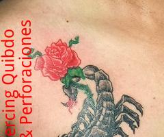 Escorpion Sombras + Rosa Tatuaje