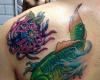 Koi