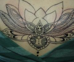 Flor de Lotus da Isabela (em andamento)