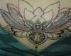 Flor de Lotus da Isabela (em andamento)