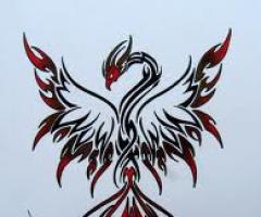 Phoenix Drawing and Sketch tattoo