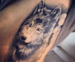 wolf tattoo