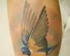 Golondrina realista