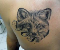 Tatuaje de gato