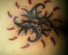 Medellin Ink 2013