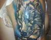 lobo