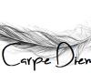 Carpe diem