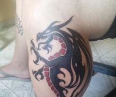 Dragão do André