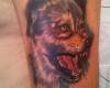 lobo
