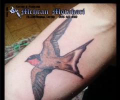 Swallow