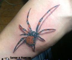 3d spider 
