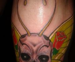 Efecto Mariposa