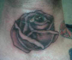la mirada d`una rosa