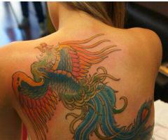 fenix 