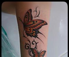 borboleta