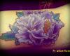 cover up