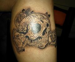 Skull