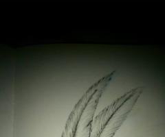 dessin 4