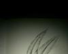 dessin 4