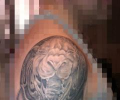 heald lion tattoo armos