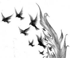 Tattoo plumage