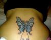 tatuaje mariposa tribal color