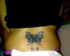 tatuaje mariposa tribal color