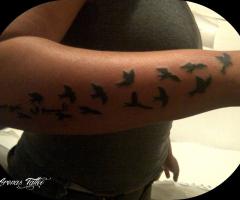 Tatuaje Pajaros