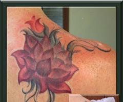 Lotus Flower Cover Up Tattoo, Koi Fish Cover Up