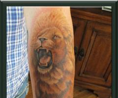 Lion Tattoo
