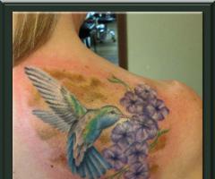 Hummingbird Tattoo