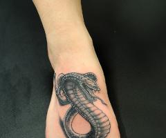 Snake
