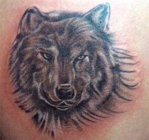 EL HOMBRE ES EL LOBO DEL HOMBRE