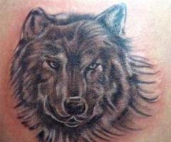 EL HOMBRE ES EL LOBO DEL HOMBRE