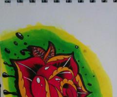 rose 1