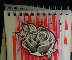 rose 2