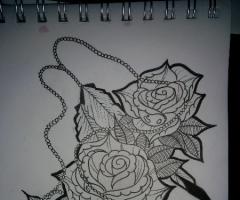rose 3