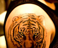 Tiger tattoo
