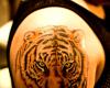 http://www.tattooset.com/images/tattoo/2014/07/01/23138-tiger-tattoo_tiny.jpg