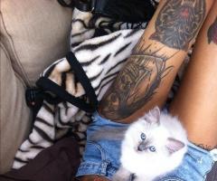 Tumblr tattoos for women