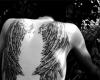 Wing tattoo for men