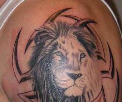 Lion tattoo