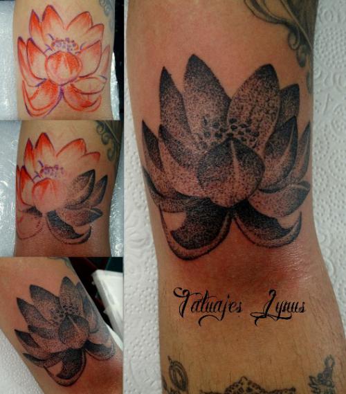 Flor de loto