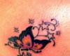 mariposa