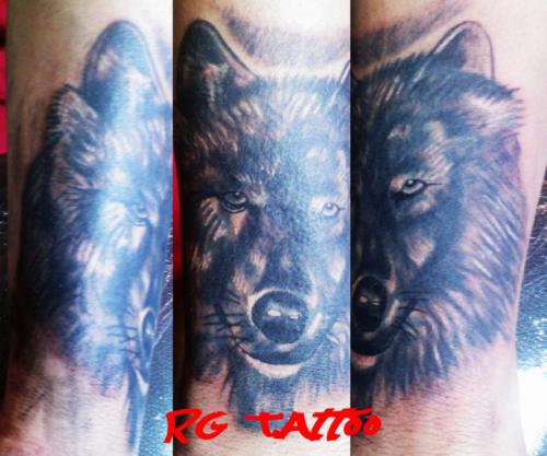 LOBO