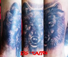 LOBO
