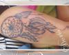 Dream Catcher